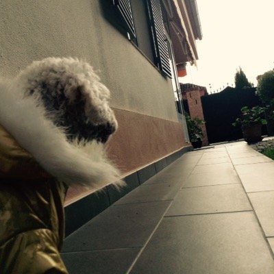 Nube_nubosa's profile picture. Love hugs, eat and sleep;) I was bornt in 10/12/2011 Instagram: nube_nubosa