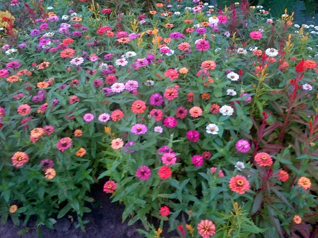 epiripson1's profile picture. i'm a person live with the best things i can do and share