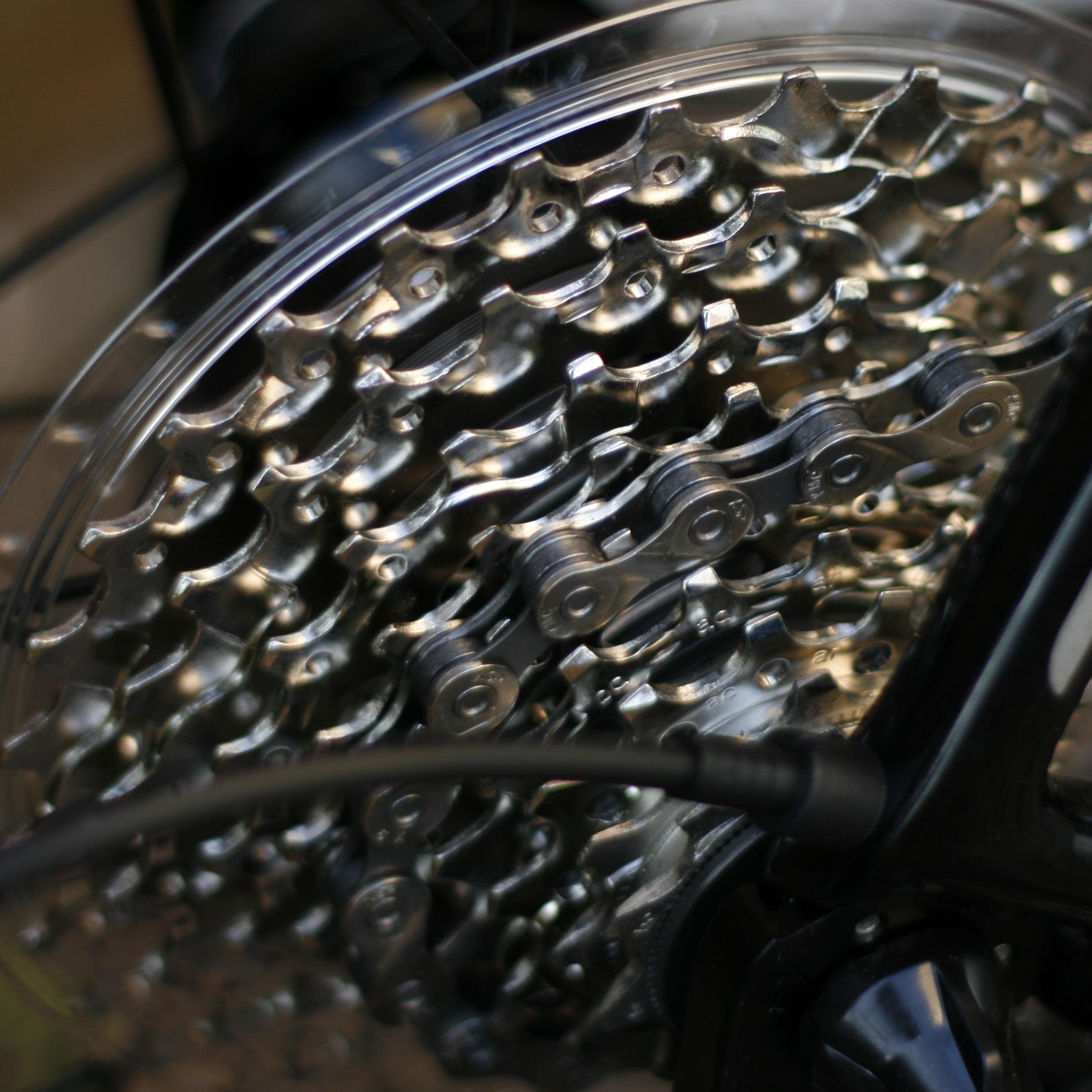 ftg32's profile picture. run | bike | photos | bikes | cats | bats, yes bats | cake | vinyl | bike | bike | bike .. you get the idea. views my own.