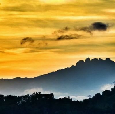 Janejane6777My's profile picture. 