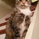 Shirley Smart - @smart17_smart - Twitter