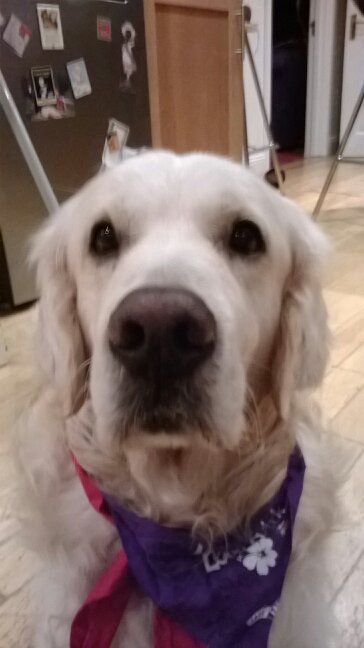 keOghMG's profile picture. 