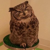 kaneko.y (@spikeolaf) 's Twitter Profile Photo