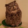spikeolaf's profile picture. CRuby committer. The author of https://t.co/AWmuwsKOuA LALR parser generator.