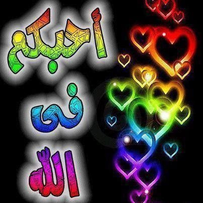 sidgy