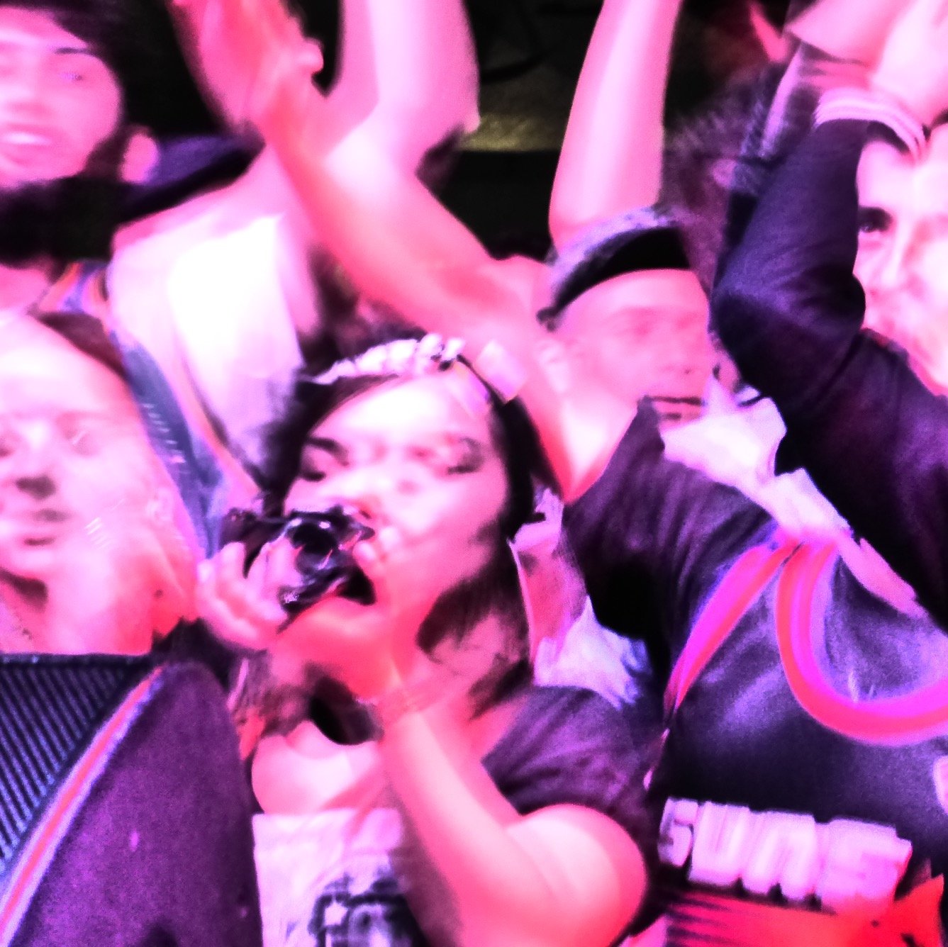 Festival, Concerti, Cultura