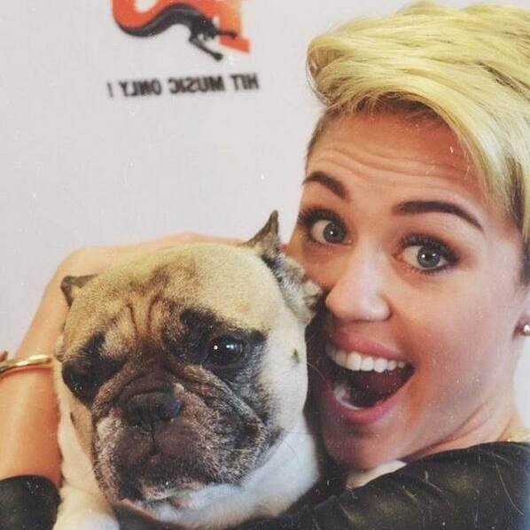 oi, te dei um follow grátis aqui! nao siga aqui, seja legal e me segue no @mileytuts como forma de agradecimento, muito obrigado :D | please follow @mileytuts