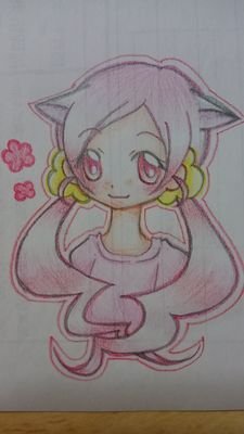 白猫さんのプロフィール画像