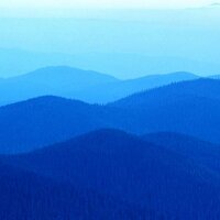 David Seckman (@daveymcdavies) 's Twitter Profile
