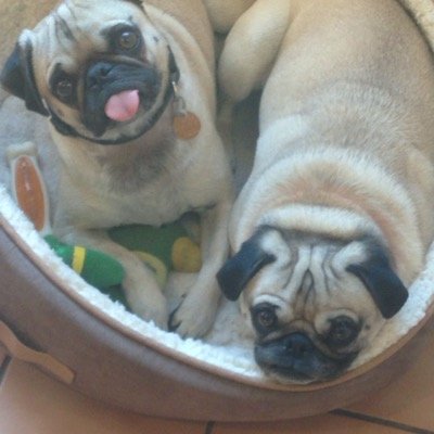 monadwilder's profile picture. 