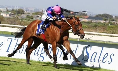 Winner of the innagural Lanzerac Ready to Run Stakes - SUPERHERO - Powered by SMG Cape Town - Trained by Brett Crawford http://t.co/8Uq0JkNeVI