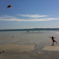 Thea Pitman (@theapitman) 's Twitter Profile Photo Thea Pitman (@theapitman) 's Twitter Profile Photo