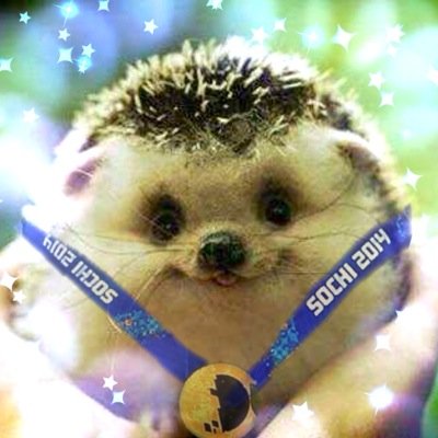 poさんのプロフィール画像