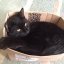 Carole Hutton - @carolehuttonVM - Twitter