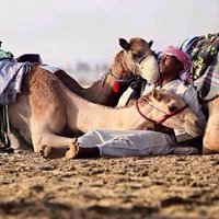 مُ (@mo_r9) 's Twitter Profile Photo مُ (@mo_r9) 's Twitter Profile Photo