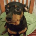 Glen kim - @glenkim1962 - Twitter