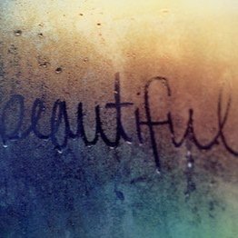 Daily quotes for u