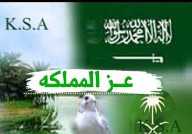 ‏مسلم عربي سعودي