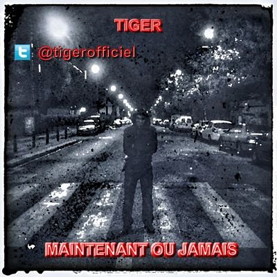 ⚡️ T.I.G.E.R : Rappeur Indien a Suivre ⚡  ⭐️MIXTAPE (Maintenant ou jamais)⭐                  https://t.co/DwAIUT3hoK…