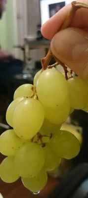 you_click's profile picture. everyone sees what he wants to see.