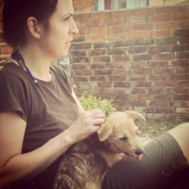 Treasure Hunter. Dog Toucher. Food Eater.