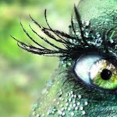 funtastish's profile picture. 