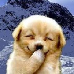 World's funny and trendy news every day! Please check out also my website. Thank you.