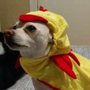 Peter Sharkey - @iPeterPrivate - Twitter