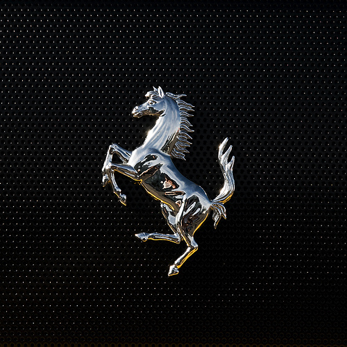 ludopacces's profile picture. 