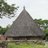 Ruteng_Flores's profile image