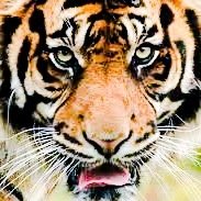 I absolutely despise it when fairness is omitted from fair. I will Fight for justice to prevail. The truth will prevail.