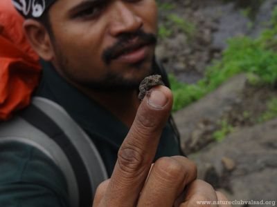 I'm a freelance photographer, naturalist, cyclist, mountaineer, and adventure enthusiast. as well a conservation activist..
