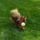 Richard Corwin - @richardcorwin - Twitter