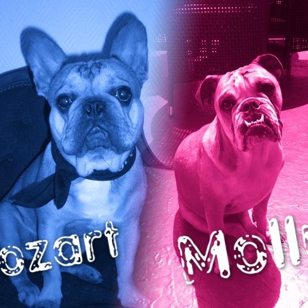 🥰 Fan, accro, addict à tout ça : 😍
* Disney 🏰
* Marvel 😄
* Séries TV 📺
* Films 🎬
* Musique 🎶
* Jeux Vidéos 🎮
* Chocolat 🍫
* Chiens 🐕
* Concours 🎁