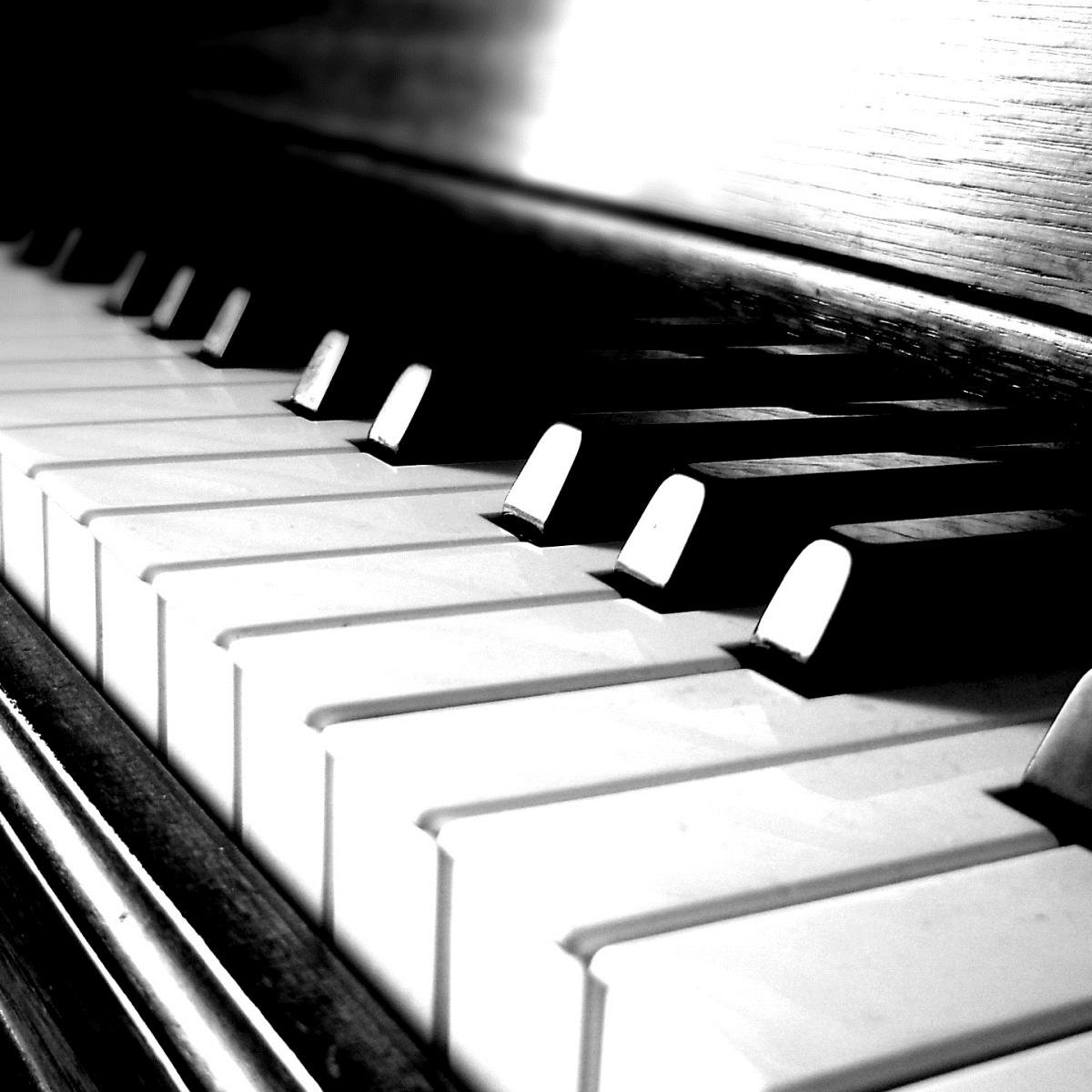 MusicTutoriales's profile picture. 