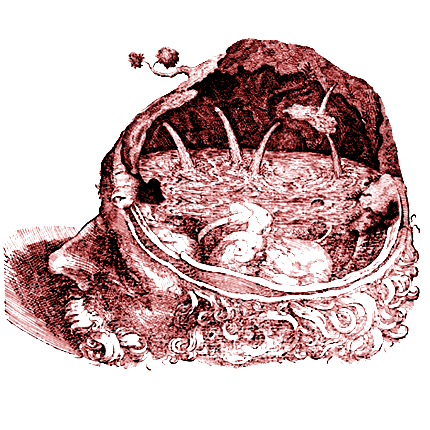 Wonders and diversions from the history of science