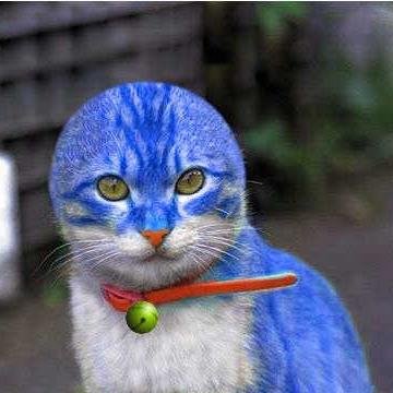 MartoAmerica's profile picture. Antropología, música, humor, no sé en qué orden.