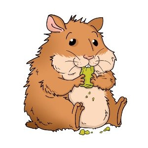 Official twitter feed of https://t.co/8XVdTxl2AP - the expert guide to caring for hamsters!