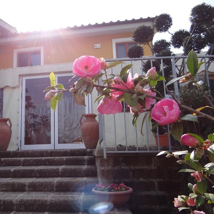 sabinaresort's profile picture. Un luogo incantato, tranquillo e silenzioso dove assaporare la buona cucina di una volta, inebriati dal profumo e dai colori dei fiori.