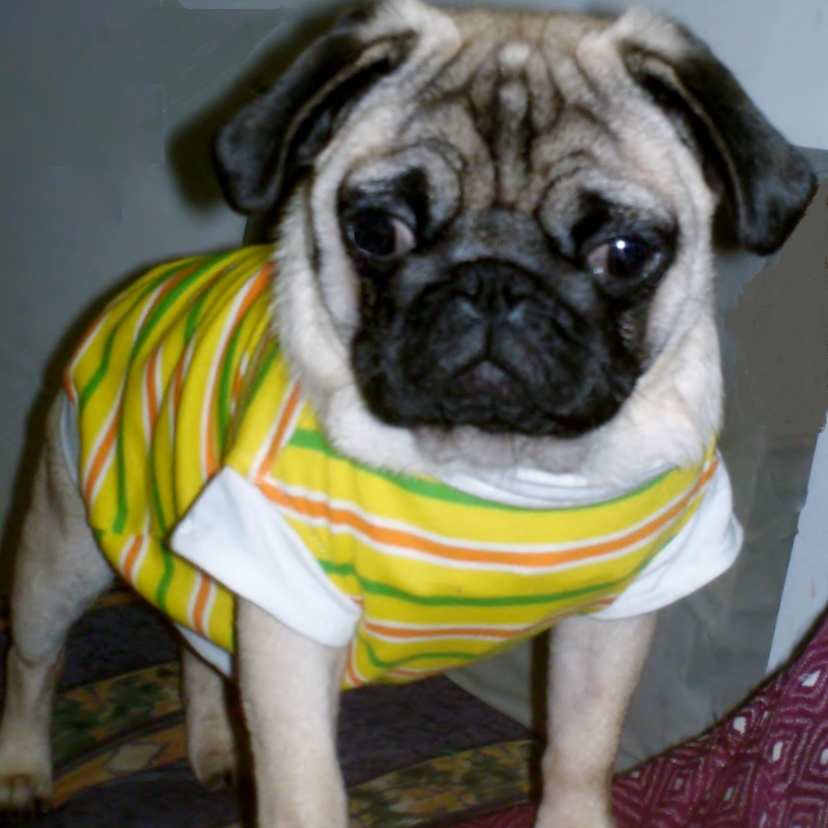 CASTILLEJO_OS's profile picture. Adjunto de Topografía,aficionado a disfrutar del día,veritas et aequitas