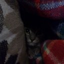 Phil Mass - @mass_phil - Twitter