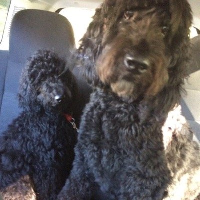 millierlitemar1's profile picture. 