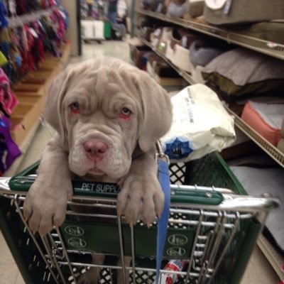 swimtech123's profile picture. 