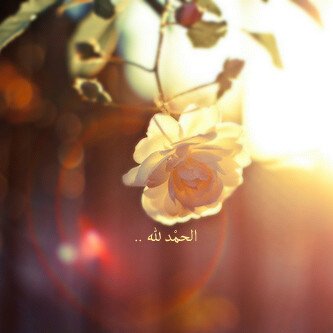 فخورة بكوني أنثئ سمره