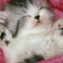 janice - @janice_mata - Twitter