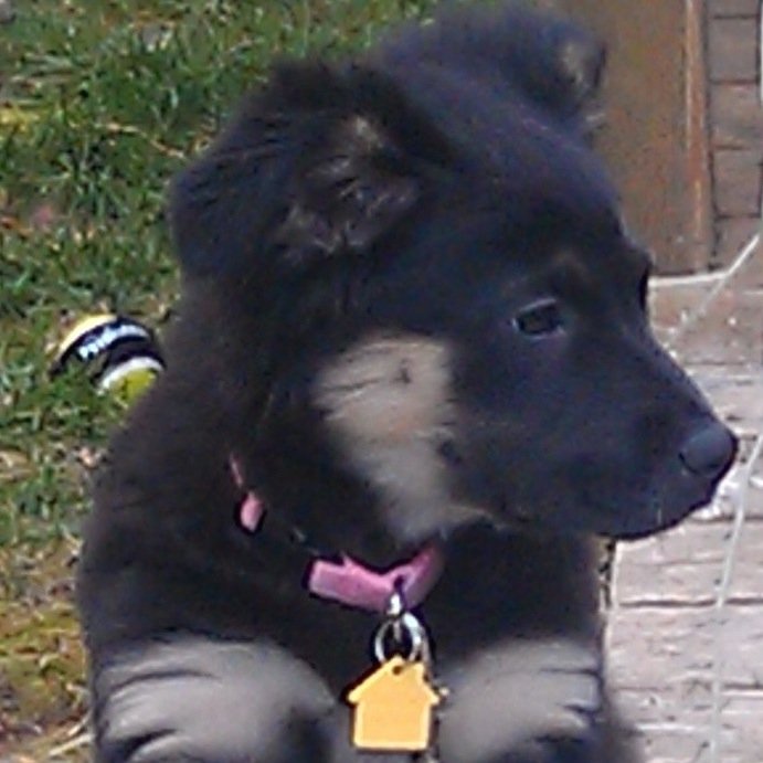 MaggieTails1031 Profile Picture