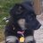 MaggieTails1031's profile image