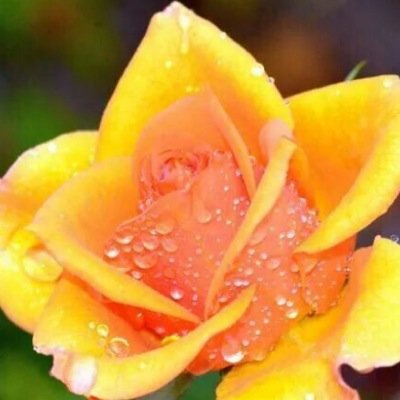 fasht5's profile picture. ❤️❤️❤️