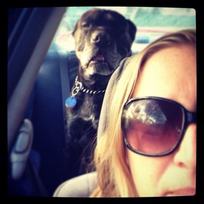 fifinelson007's profile picture. Cherish your visions and your dreams as they are the children of your soul, the blueprints of your ultimate achievements - Napoleon Hill