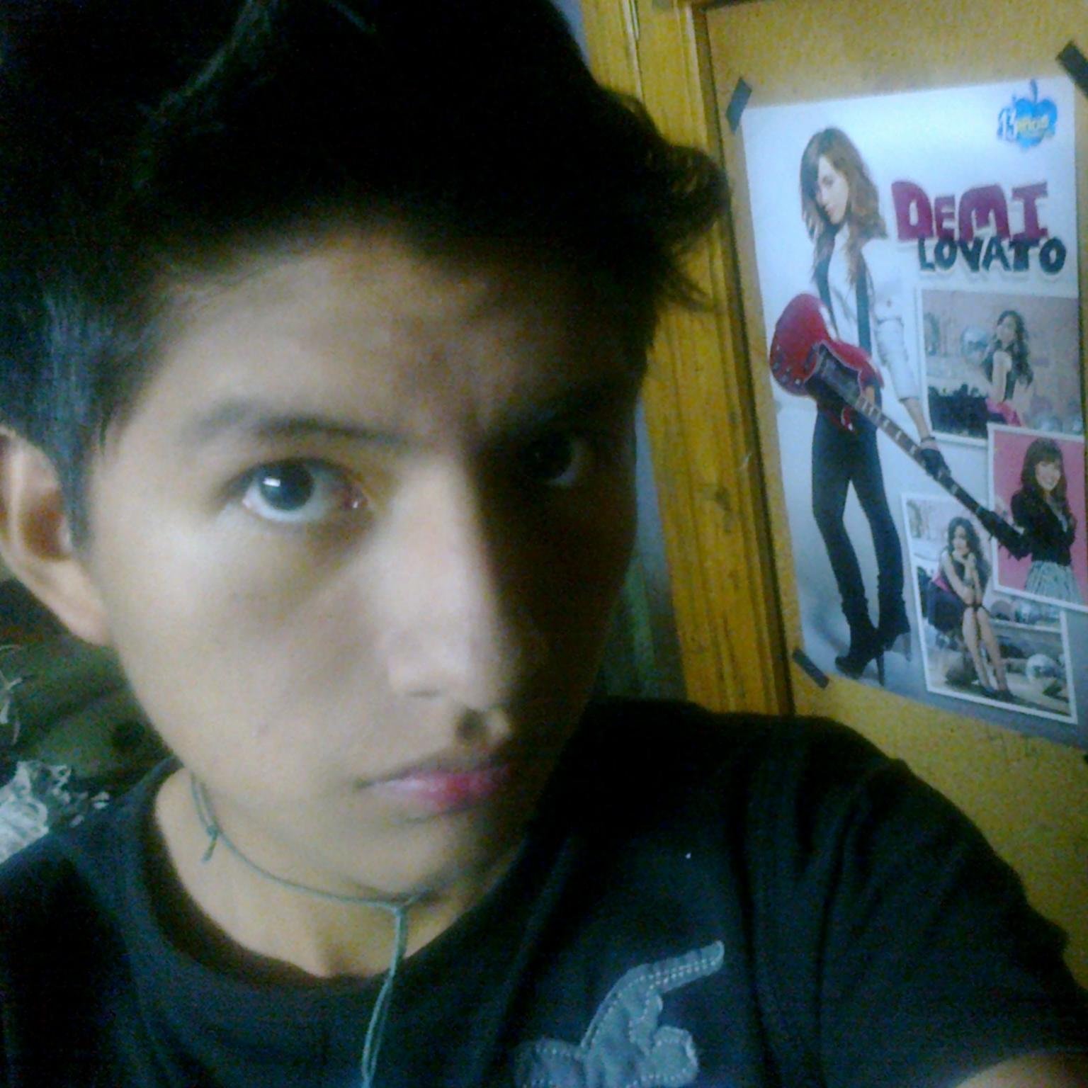 fan demi lovato for always